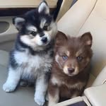 Zara Gordon - @zara.gordon - Instagram