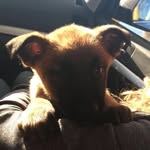 Zara Gordon - @gordonzara44 - Instagram