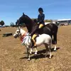 🐴Zara gordon🐴 - @zaraaagordon - TikTok
