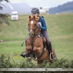 Zara - @zaragordon.eq - Instagram