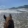 zaragordon0 - @zaragordon0 - TikTok