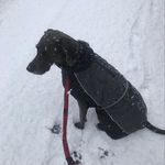 Zara Hall - @zarahall33 - Instagram