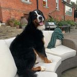 Zara Hall - @zara.hall.31 - Instagram