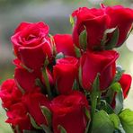 Zara Holmes - Facebook