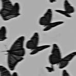 Zara Jacobs - Facebook