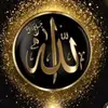 Zara jan - @naveed212121 - TikTok