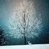 zaralevy1 - @zaralevy1 - TikTok