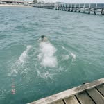 zara longman - @zaralongman_ - Instagram