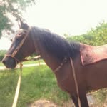 Braian Catriel Saravia - @zaramay_14_beby - Instagram