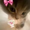 zarahmeyer - @zarahmeyer - TikTok