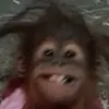 zarayiamorrison - @zarayiamorrison - TikTok