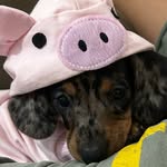 ZARA NELSON - @zara.asalsicha - Instagram