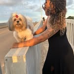 Zara 🐾💖 - @zara_rocha - Instagram