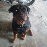 @zara_rocha00 - Instagram