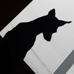 Zara Rocha - @zara_rochaa - Instagram