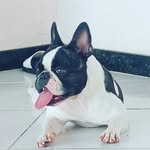 Zara - @zararocha__ - Instagram
