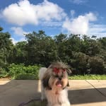 🐾Zararocha🐾 - @zararocha15 - Instagram