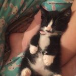 Zara Scott - @zara_scott2007 - Instagram