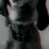 Zara - @zarashaw1000 - TikTok