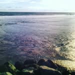 ZaraSingh - @zarasingh012020 - Instagram