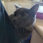 Zara Stephens - @zarastephens2008 - Instagram