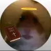 user8390677352436 - @zarastone12344 - TikTok