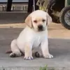 Zara_Stone - @zara_stone - TikTok