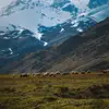 stuartzara - @stuartzara - TikTok