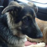 zara sutherland - @zazsuth82 - Instagram