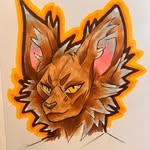 ☆ Zara ☆ - @zara_wolff - Instagram