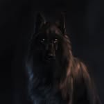 Zara - @zarawolf_rp - Instagram