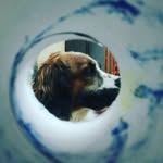zarawolf19 - @zarawolf19 - Instagram