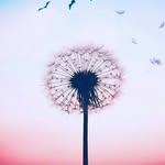 zarah - @zarah_davids_34 - Instagram