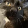 Zarina<3 - @martinez.zarina - TikTok