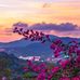 Zayda Miranda - Facebook