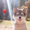Zayuri Herrera Alzam - @zayuriherreraalza - TikTok