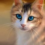 Zbigniew Brzeziński - @brzezinskizbigniew11 - Instagram