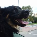 Zbigniew Franciszek Chraścina - @zbigniewchrascina - Instagram