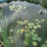 Zbigniew Kraszewski - @zbigniew.kraszewski - Instagram