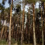 Zbigniew Rogal - @rogalzbigniew - Instagram