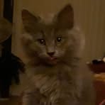 Zeb Baird - Facebook
