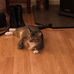 Zeb Baker - Facebook