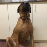 zeb brown - @brown.zeb - Instagram