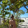 zozo - @z.zebra.browne - TikTok