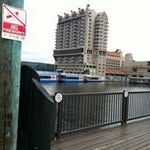 Zeb Campbell - @zebcampbell - Instagram