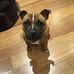 Zeb Campbell - Facebook