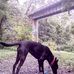 Zebediah Carter - Facebook