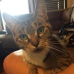 Zeb Cox - Facebook