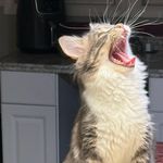Zeb Dugan - @zeb.dugan.5 - Instagram