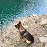 Zeb Mayr - @zebmayr - Instagram